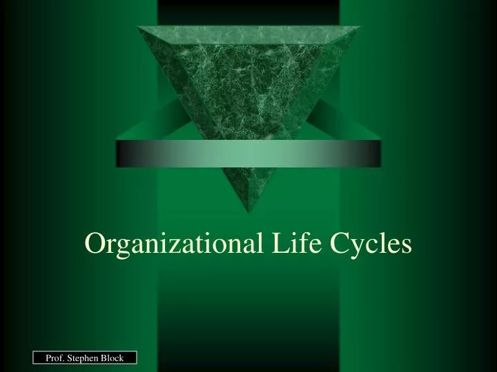 organizational life cycles
