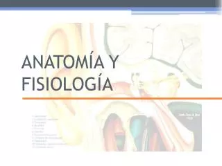 anatom a y fisiolog a
