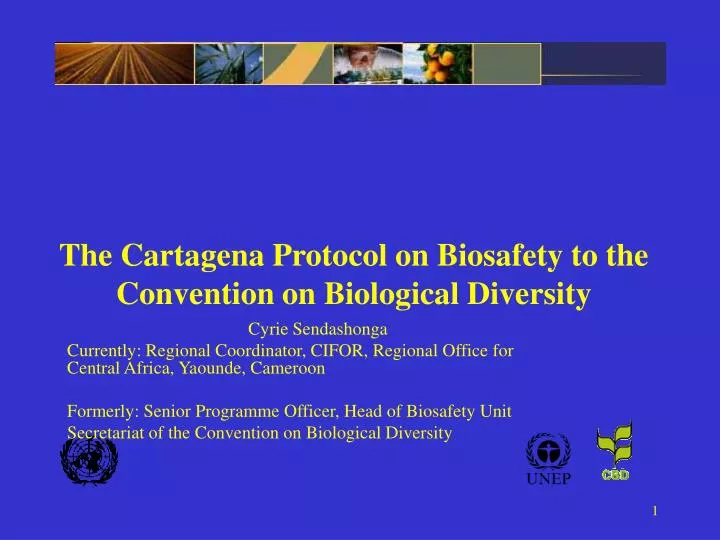 the cartagena protocol on biosafety to the convention on biological diversity