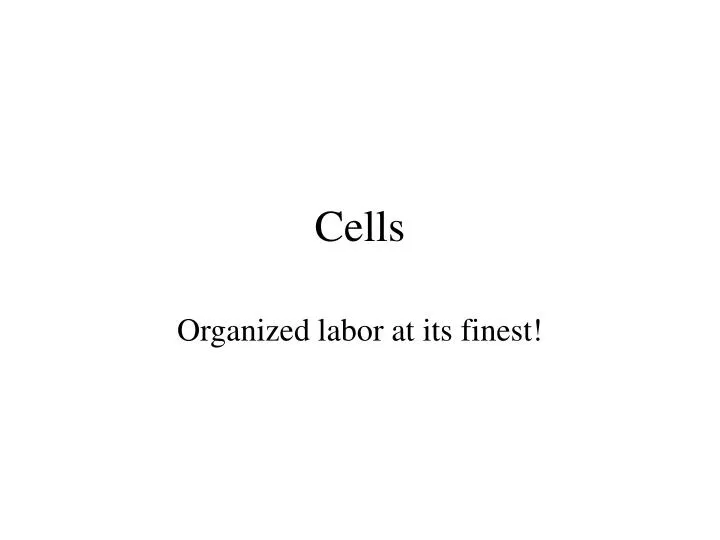 cells