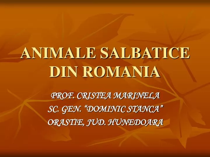 animale salbatice din romania