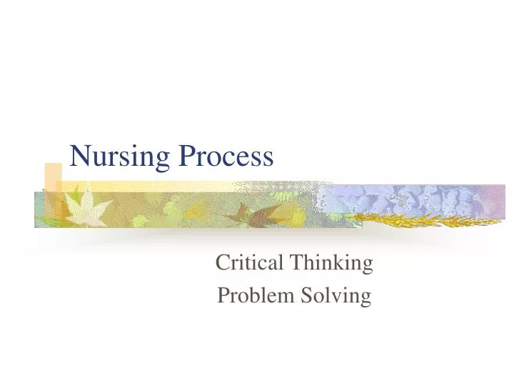 nursing process