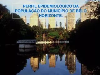 PERFIL EPIDEMIOLÓGICO DA POPULAÇÃO DO MUNICÍPIO DE BELO HORIZONTE.