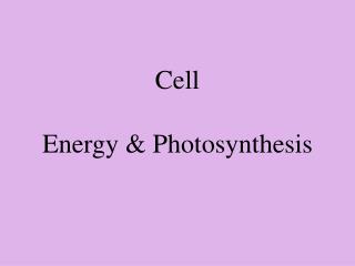 Cell Energy &amp; Photosynthesis