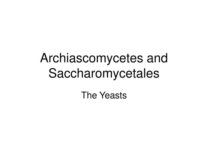 archiascomycetes and saccharomycetales