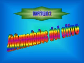 CAPÍTULO 2