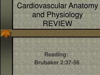 Cardiovascular Anatomy and Physiology REVIEW