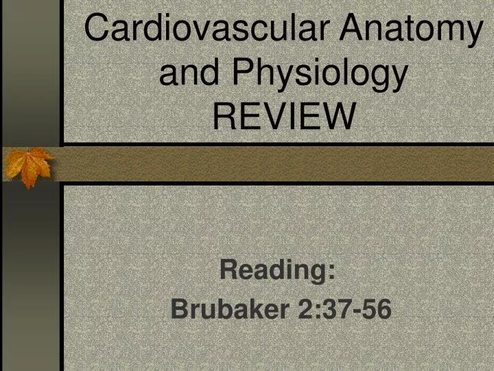 cardiovascular anatomy and physiology review