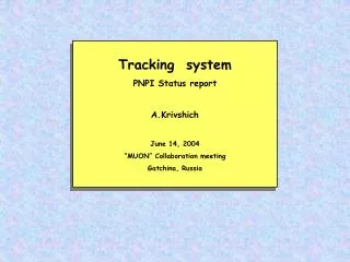 Tracking system PNPI Status report A.Krivshich June 14, 2004 “MUON” Collaboration meeting Gatchina, Russia