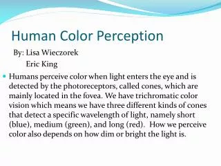 Human Color Perception