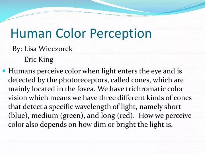 human color perception