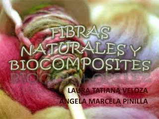 FIBRAS NATURALES Y BIOCOMPOSITES