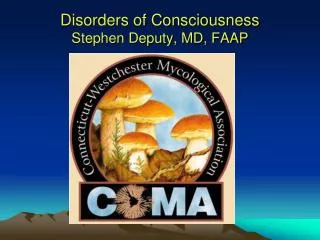 Disorders of Consciousness Stephen Deputy, MD, FAAP