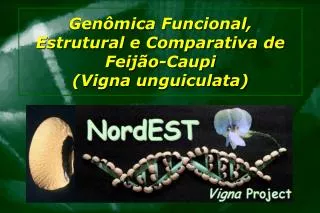 Genômica Funcional, Estrutural e Comparativa de Feijão-Caupi (Vigna unguiculata)