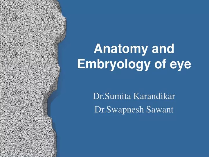 anatomy and embryology of eye