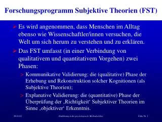 forschungsprogramm subjektive theorien fst