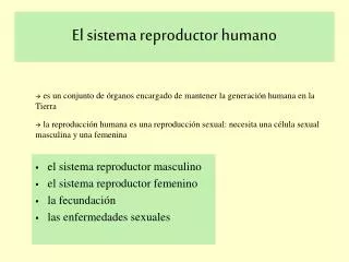 El sistema reproductor humano