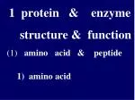 1 protein &amp; enzyme structure &amp; function - slide 1