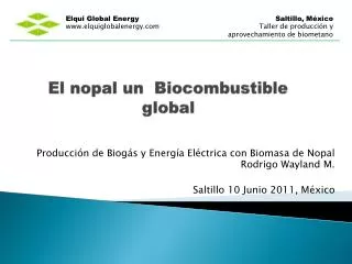 El nopal un Biocombustible global