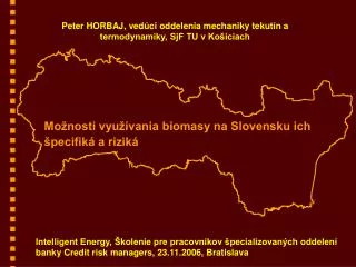 Možnosti využívania biomasy na Slovensku ich špecifiká a riziká