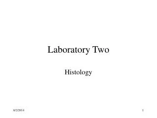 Laboratory Two