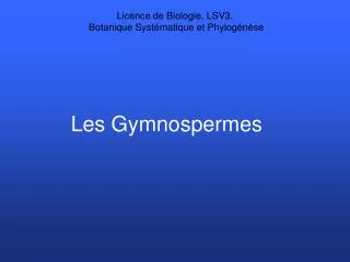 Les Gymnospermes