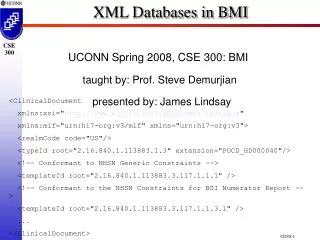 XML Databases in BMI