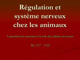 Régulation et système nerveux chez les animaux