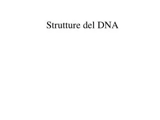Strutture del DNA