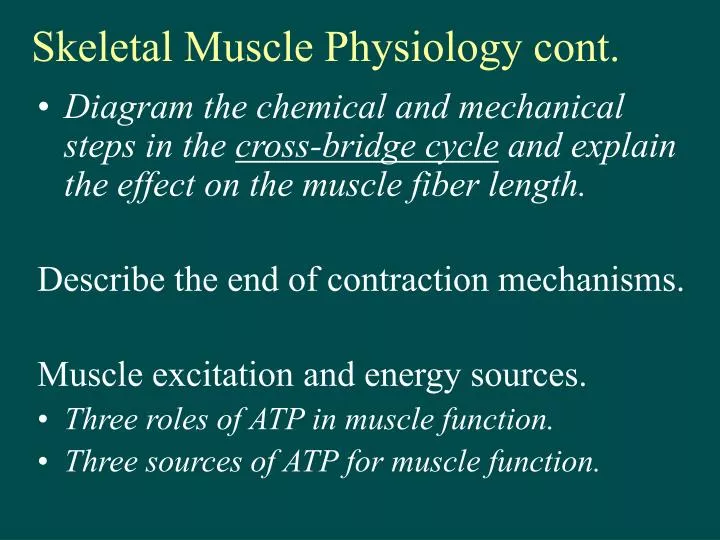 skeletal muscle physiology cont