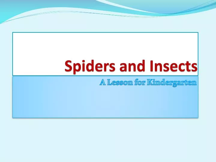 spiders and insects