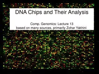 DNA Chips and Their Analysis Comp. Genomics: Lecture 13 based on many sources, primarily Zohar Yakhini