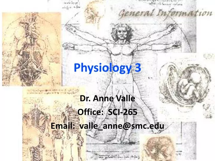 physiology 3