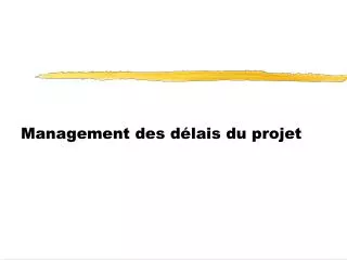 Management des délais du projet
