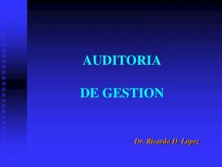auditoria de gestion