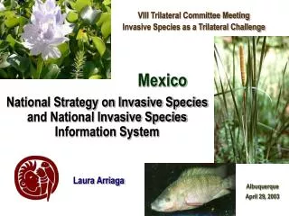National Strategy on Invasive Species and National Invasive Species Information System