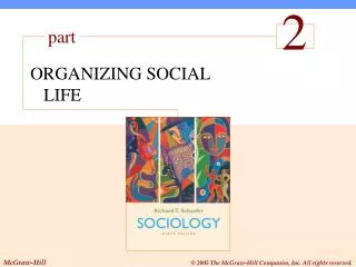 ORGANIZING SOCIAL LIFE