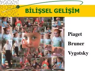 b l sel gel m