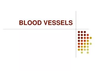 BLOOD VESSELS