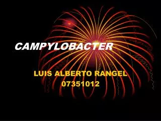 campylobacter