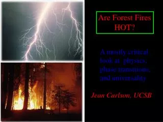 Are Forest Fires HOT?