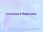 G enotyping &amp; Haplotyping