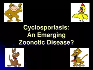 Cyclosporiasis: An Emerging Zoonotic Disease?