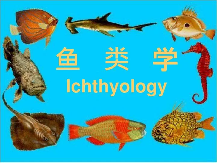 ichthyology