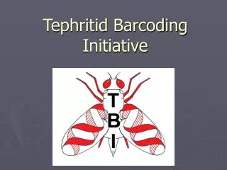 Tephritid Barcoding Initiative