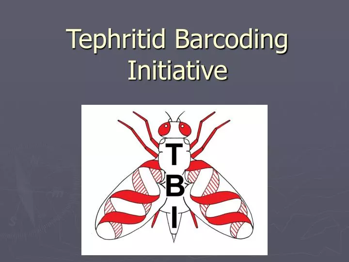 tephritid barcoding initiative