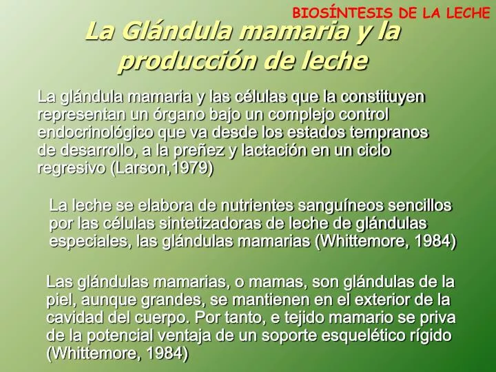 la gl ndula mamaria y la producci n de leche