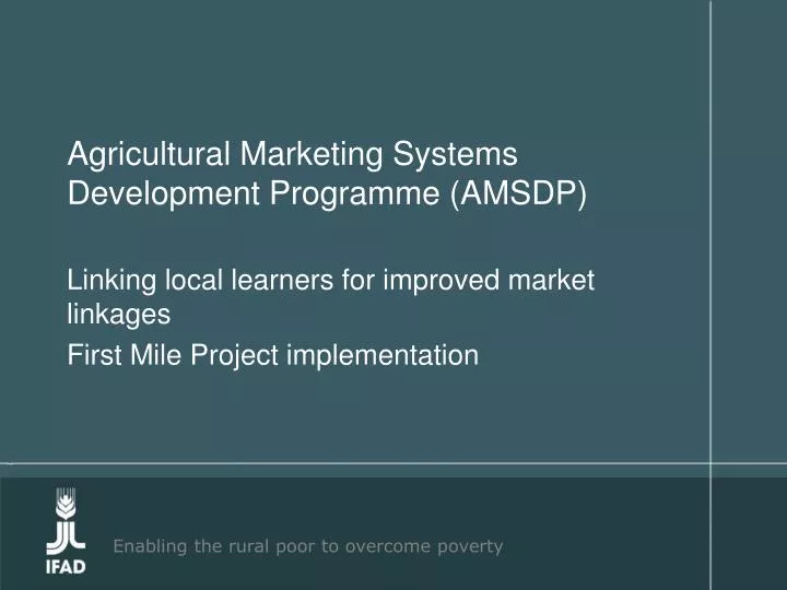 agricultural marketing systems development programme amsdp