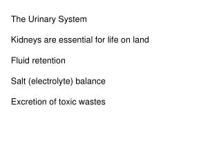 The Urinary System Kidneys are essential for life on land Fluid retention Salt (electrolyte) balance Excretion of toxic