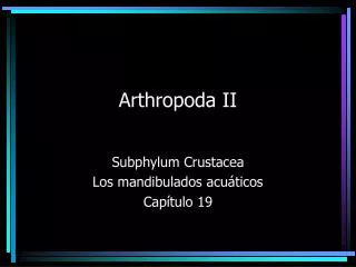 arthropoda ii
